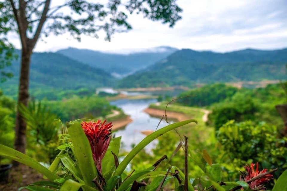 Baanhatsompaen Homestay Ranong Bagian luar foto